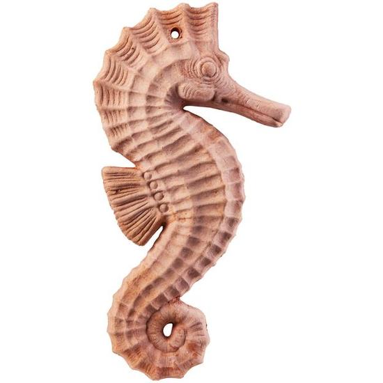 Csikóhal 18cm